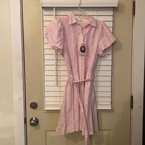 Alexis brand pink stripe dress.